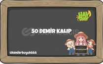 50 ADET DEMİR KALIP