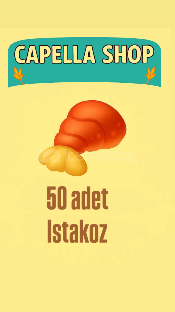 50 adet ıstakoz 50 adet ıstakoz