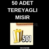 50 ADET TEREYAGLI MISIR