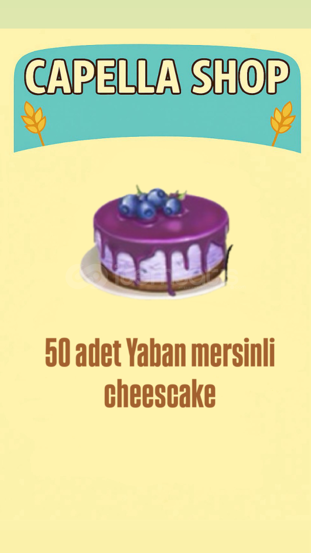 50 adet yaban mersinli cheescake 50 adet yaban mersinli cheescake