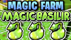 50 Magic Bean 50 Magic Bean