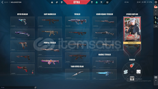 50+SKİN 6K TL SKİN-CYRAX SET VE DAHASI