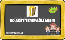 50 TEREYAĞLI MISIR