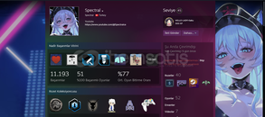 500 DOLAR DEĞERİNDE STEAM HESABI