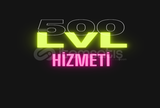 500 Lvl Hizmeti