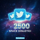 500 TWİTTER SPACE DİNLEYİCİ DİNLEYİCİ 