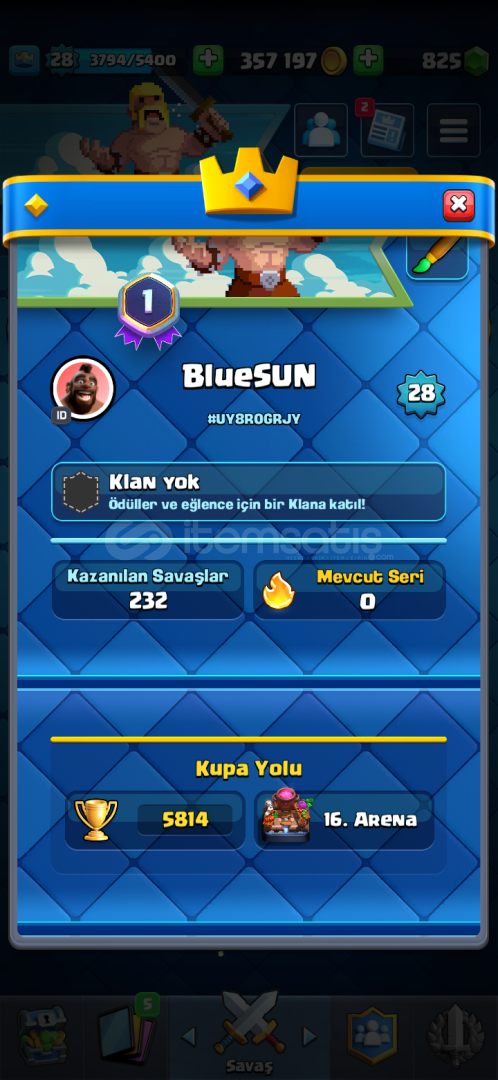 5000 kupa 11-12 lvl kartlarin olduğu hesap 5000 kupa 11-12 lvl kartlarin olduğu hesap