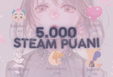 5.000 STEAM PUANI