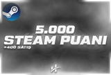 5.000 STEAM PUANI