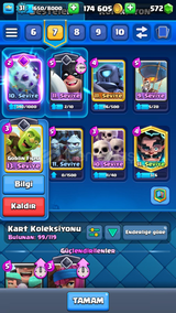 5202KUPA 31LVL HESAP+17 EMOJİ