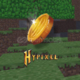 500M COİN 250 TL !!!! HYPİXEL SKYBLOCK COIN 