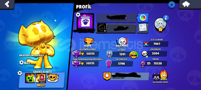 50K BOL SKİNLİ⚡BRAWL STARS HESABI⚡ 50K BOL SKİNLİ⚡BRAWL STARS HESABI⚡