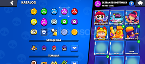 50K hesap