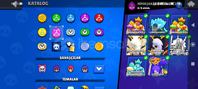 50k kupa 2019 hesabı 230 kostumlu hesap