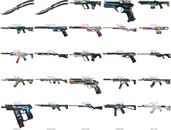 51 Skin, 29825 VP ENVANTER