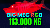 ⭐ 518K RGB BİG S S PHANTOM MEG ⭐