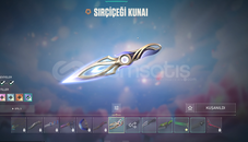 52 SKİNLİ 7 VANDALLI EFSO HESAP!!