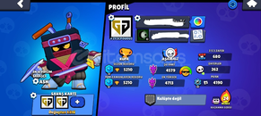 5210 kupa Başlangıç hesap 5210 kupa Başlangıç hesap