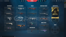 22 SKİN 52400VP HARCANMIŞ DOPDOLU ACİLL