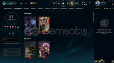 53 SEVİYE 53 KOSTÜM 87 ŞAMPİYON MAİL DEĞİŞEN