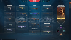 5325 VP YATIRILMIŞ MAİLLİ EFSANE HESAP