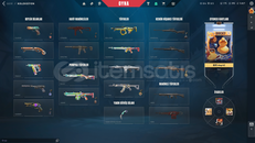 5325VP YATIRILMIŞ MAİLİ EFSANE HESAP