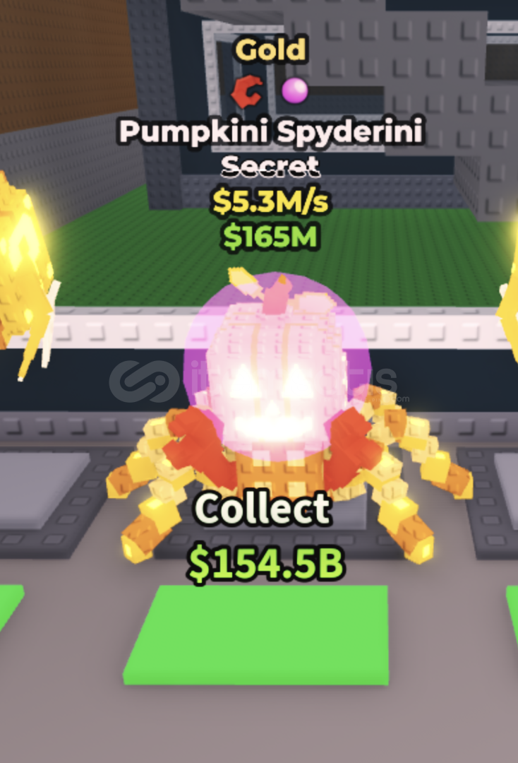 5.3M/S PUMPKİNİ SPYDERİNİ 5.3M/S PUMPKİNİ SPYDERİNİ