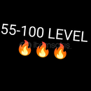 55-100 seviye arası garanti hesap!!!!