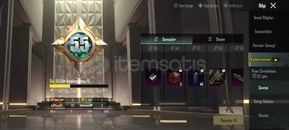 55 KOLEKSİYONLU MASKARA6sv sarı mumya