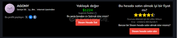 55 LEVEL UCUZA STEAM HESAP