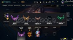 55 WR WEST MASTER 6 LP FLEX GOLD 3 