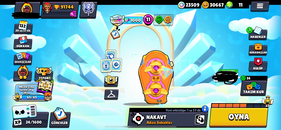 550+ SKIN 90.000+ KUPA FULL+FULL HESAP 