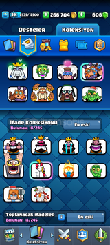 5500kupa 113 kart
