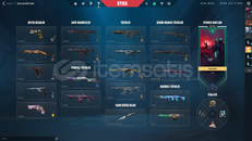 55450VP YATIRILMIŞ EFSANE DOLU HESAP MAİLLİ