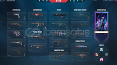 576 LVL BETA HESABI FULL İTEM