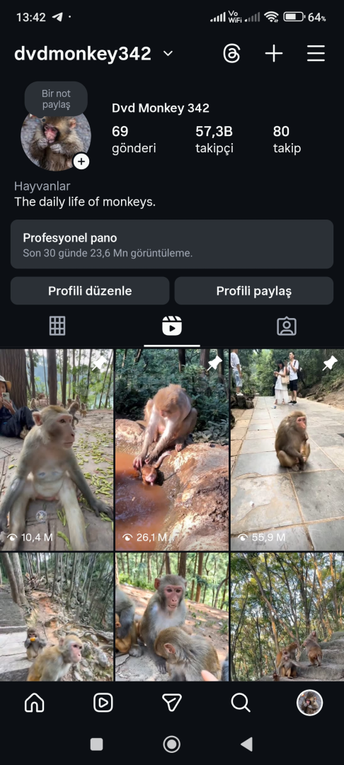 57.300K Takipçili Global Instagram hesabı 57.300K Takipçili Global Instagram hesabı