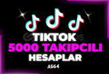 5K TİKTOK HESAPLARI ANLIK TESLİM