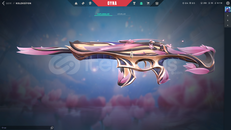 5KTL YATIRILMIŞ SIRÇİÇEĞİ PHANTOMLU DOLU ACİLLL