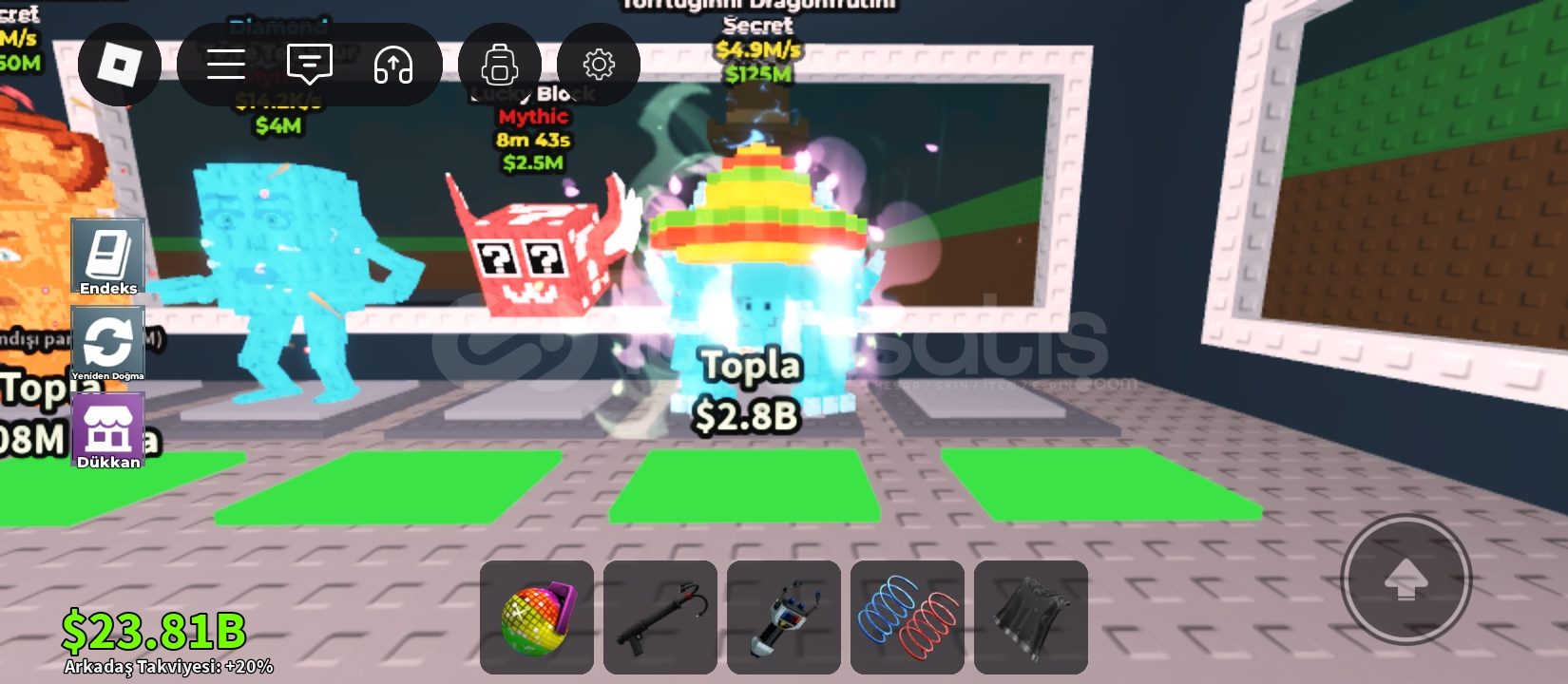 5m tortugini dragon fruttini 5m tortugini dragon fruttini