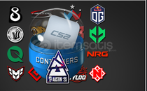 5x Austin 2025 Mücadeleciler Çıkartma Kapsülü