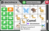 5x Camel 20TL!!