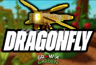 5X dragon fly 5X dragon fly