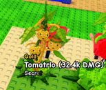 5x Gold Tomatrio HEMEN TESLİM 5x Gold Tomatrio HEMEN TESLİM