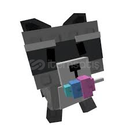 5x RACCON EN UYGUNU