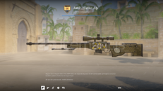 ✨5x stickerli AWP | Safari Ağı✨
