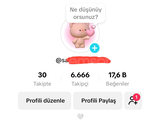 6,6k organik TikTok, ✅