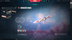 》6 Adet Animasyonlu Vandal,Vs. Dolu Hesap《