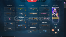 6 BIÇAK 6 VANDAL CHAMPIONS 2024 PHANTOMLU DOLUU