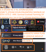 6 MADALYALI 24 LV 50 TL STEAM BAKİYELİ GTA V ET