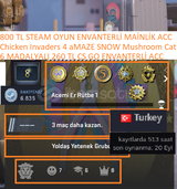 6 MADALYALI 260+40 TL CS GO ENVANTERLİ VE STEAM